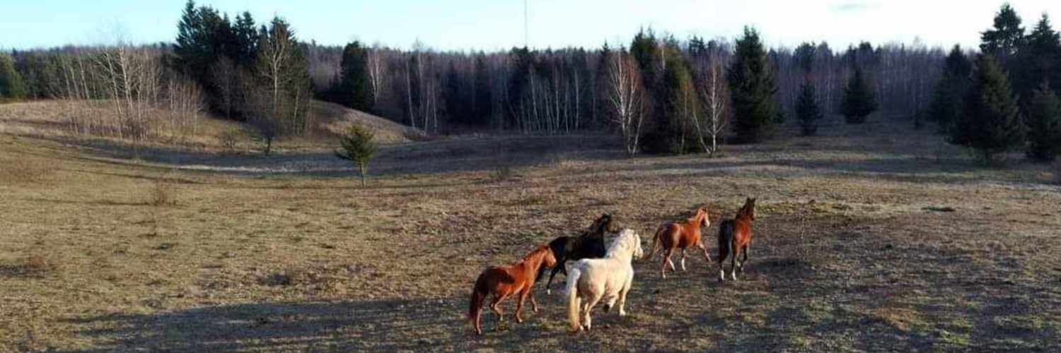 Nuotraukos pavadinimas