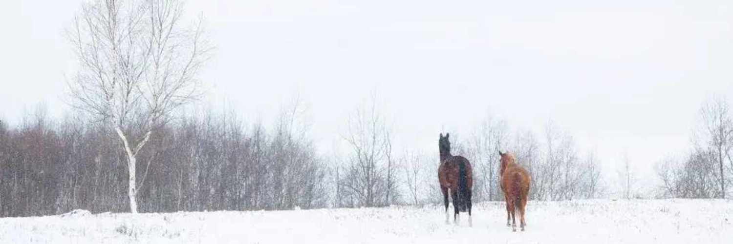 Nuotraukos pavadinimas