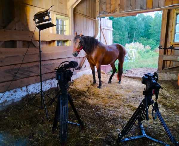 Nuotraukos pavadinimas