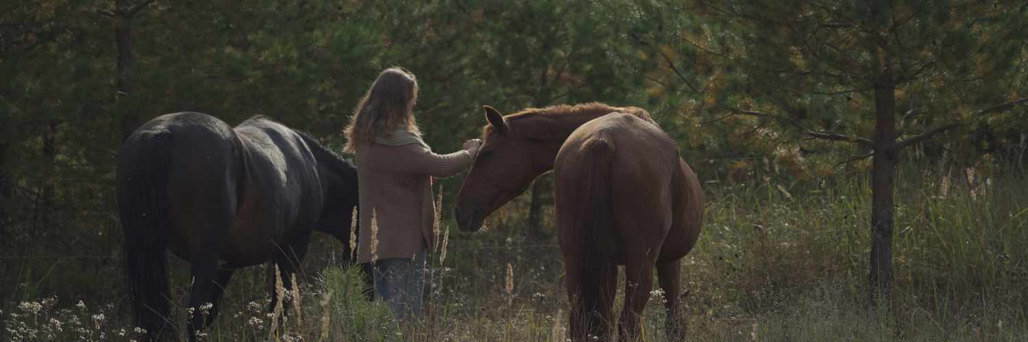 Nuotraukos pavadinimas
