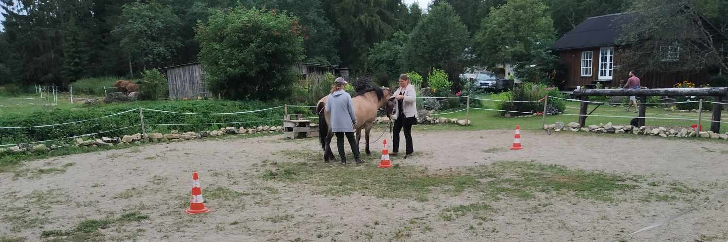 Nuotraukos pavadinimas